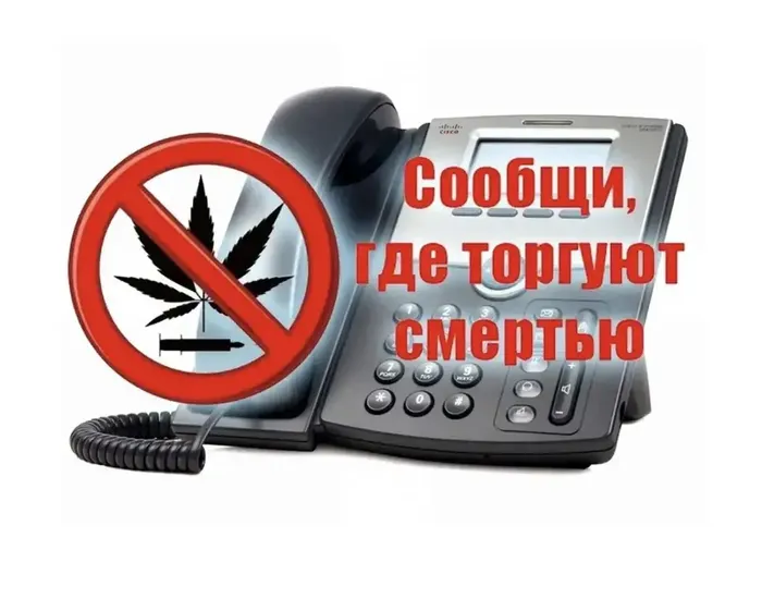 05438703-C30A-4526-A9C2-D1FFA0FC3D43